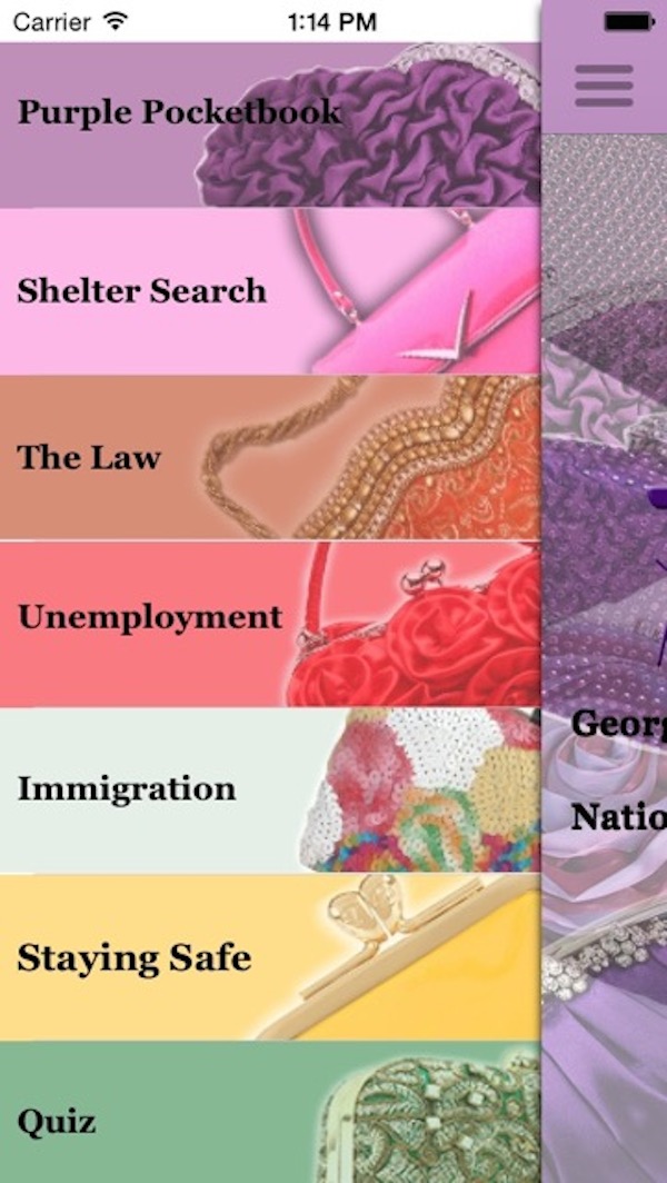 A screenshot of Purple Pocketbook, courtesy of Alicia Carr 