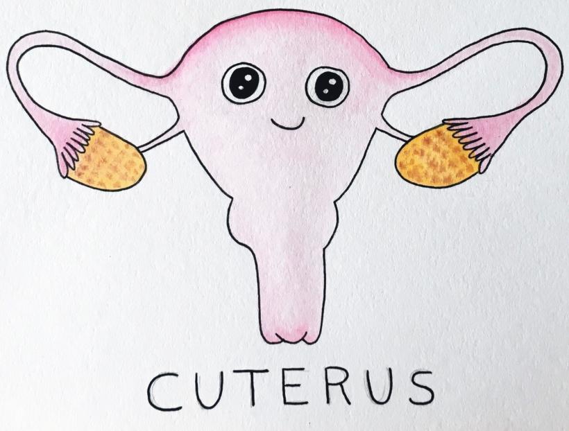 cuterus cuterus