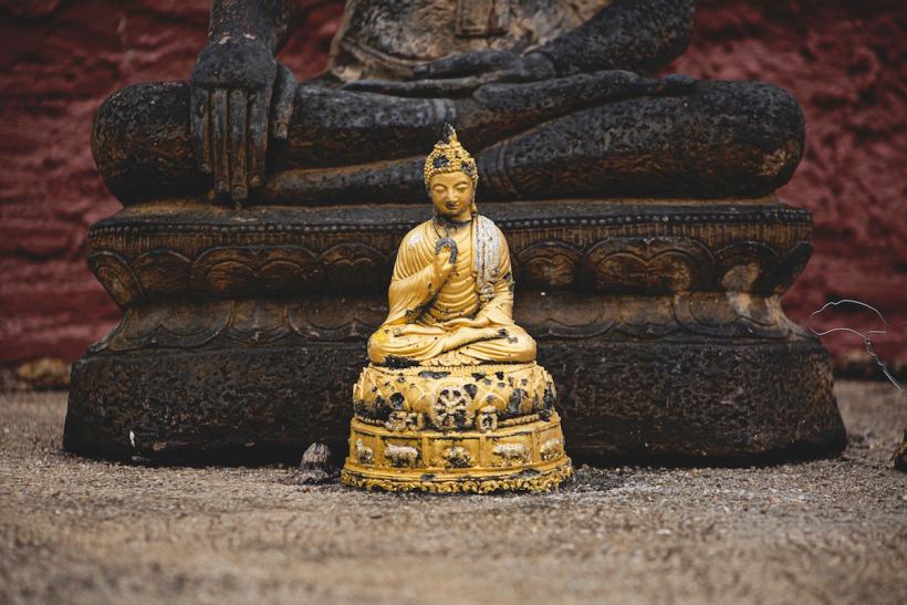 image credit: Peter Hershey via Unsplash image credit: Peter Hershey via Unsplash