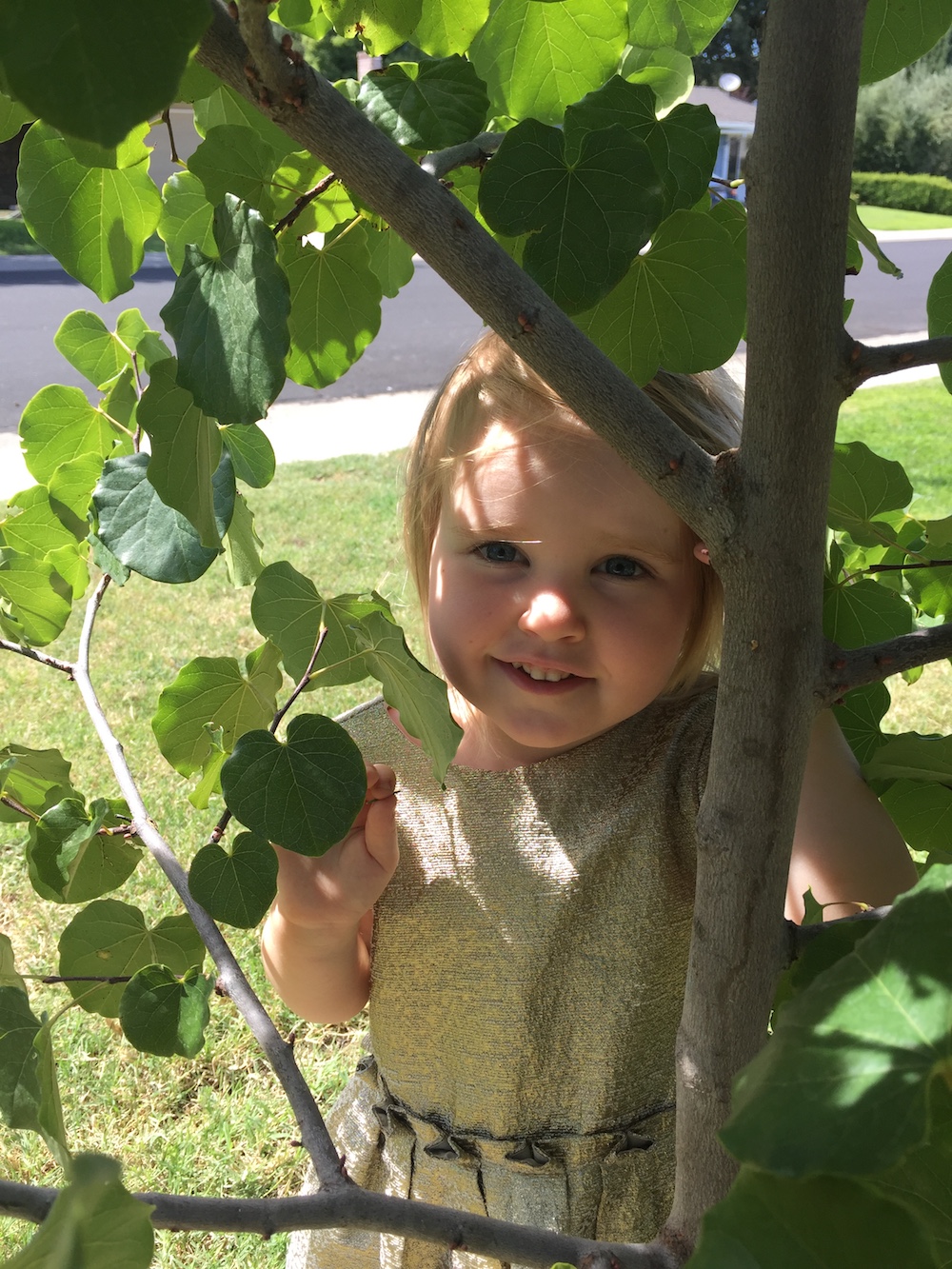 The author's niece, Holly.