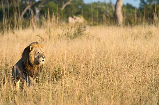 Xanda, Cecil's son. Xanda, Cecil's son.