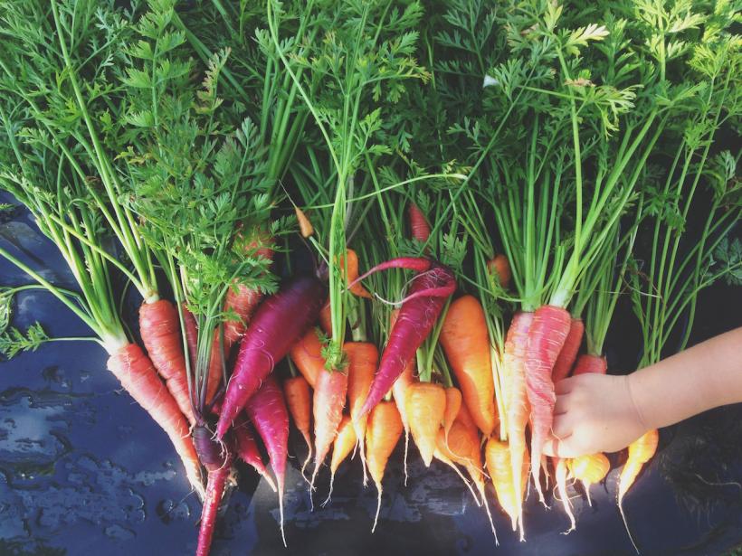 What happens when organic food prices out those who are struggling just to stay out of bankruptcy? What happens when organic food prices out those who are struggling just to stay out of bankruptcy?