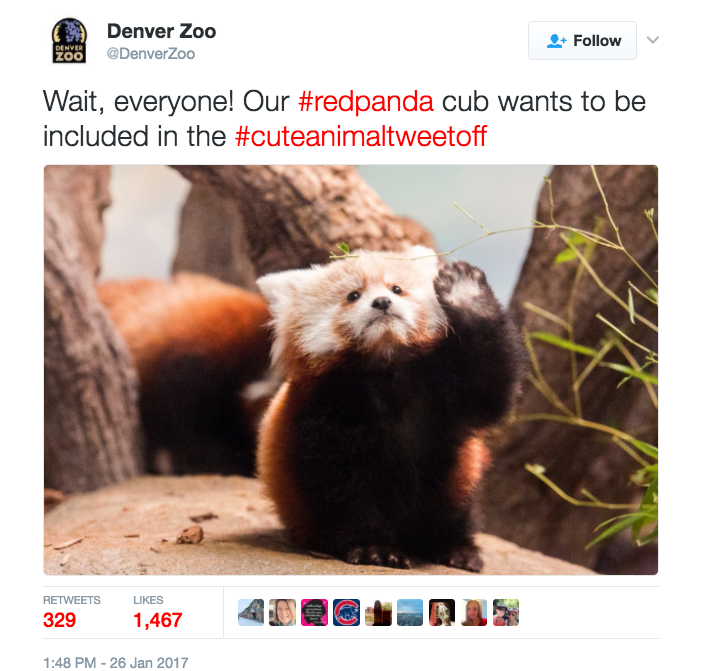 You need this in your life: #cuteanimaltweetoff. (Image Credit: Twitter/@DenverZoo) You need this in your life: #cuteanimaltweetoff. (Image Credit: Twitter/@DenverZoo)
