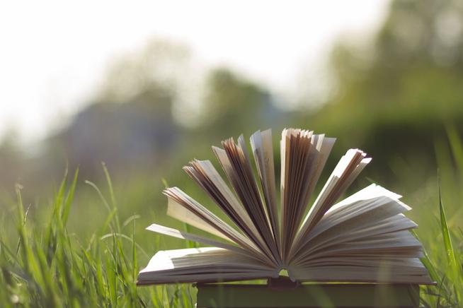The queer beach read you've been waiting for. Image: Thinkstock. The queer beach read you've been waiting for. Image: Thinkstock.