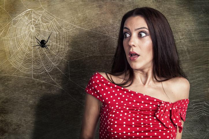 Hold onto your hats, ladies & gents. Because the sheer ubiquity of spiders is staggering. Hold onto your hats, ladies & gents. Because the sheer ubiquity of spiders is staggering.