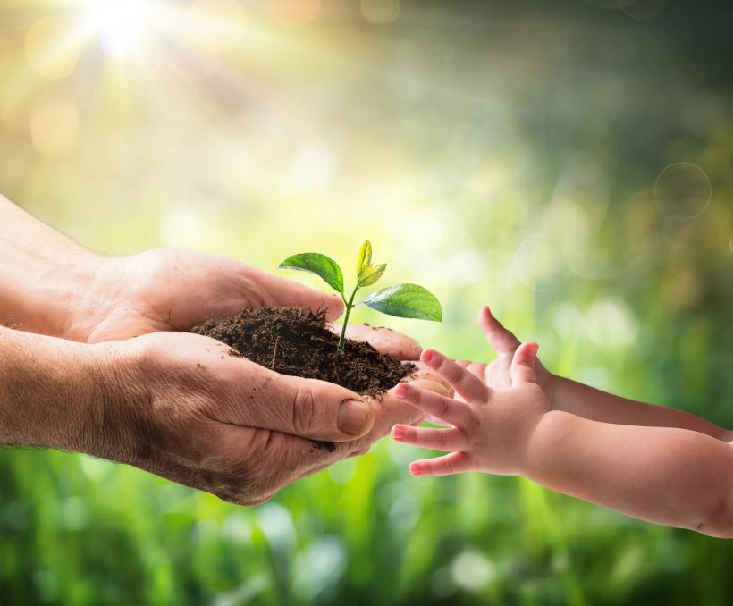 Don't be overwhelmed by environmental causes! These are five easy ways to make a difference in your own neck of the woods. Don't be overwhelmed by environmental causes! These are five easy ways to make a difference in your own neck of the woods.