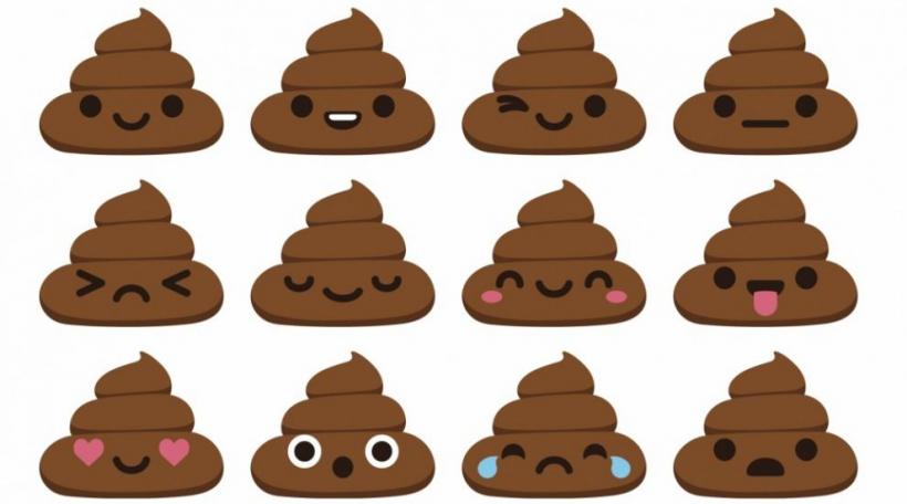 Yep. It's a poop emoji.