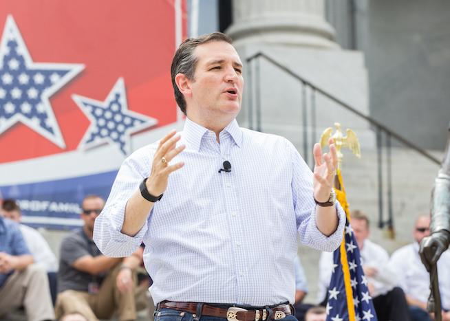 Buckle up for a wild primary ride. Buckle up for a wild primary ride.