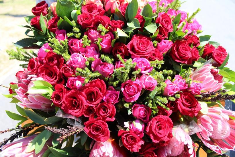 Who even NEEDS that many flowers? Who even NEEDS that many flowers?