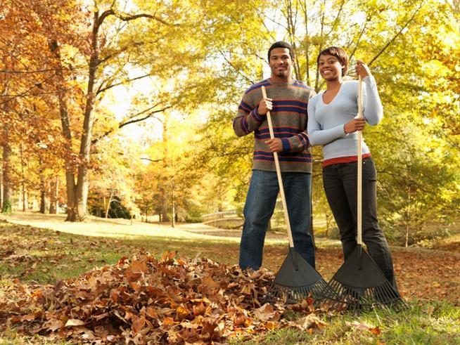 Yard work: Best gift EVER.