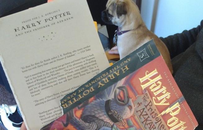 This never would have happened to the Monster Book Of Monsters. This never would have happened to the Monster Book Of Monsters.