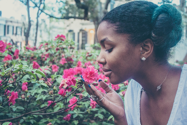 Stop and smell whatever roses you want. Stop and smell whatever roses you want.