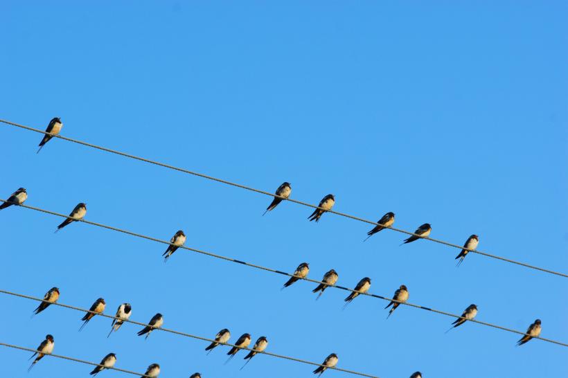 Thinkstock Thinkstock