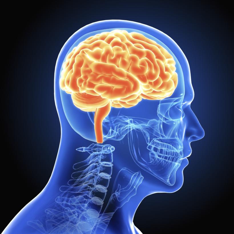 Credit: ThinkStock Credit: ThinkStock