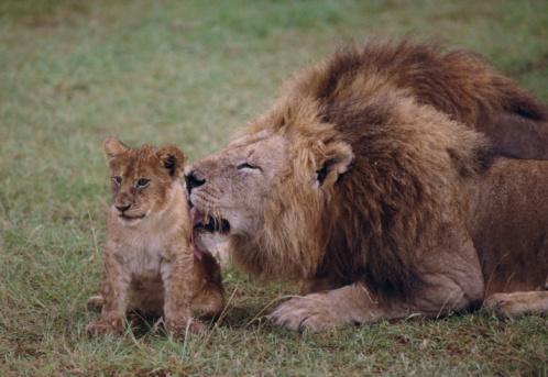 "Psst! You're going to die." Credit: Thinkstock