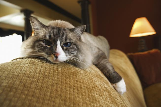"Oh, would you like me to move? Too bad." "Oh, would you like me to move? Too bad."