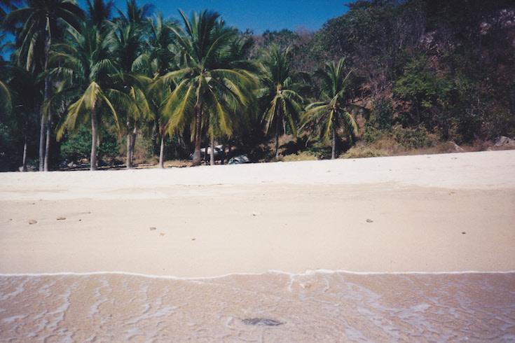 the beach! the beach!