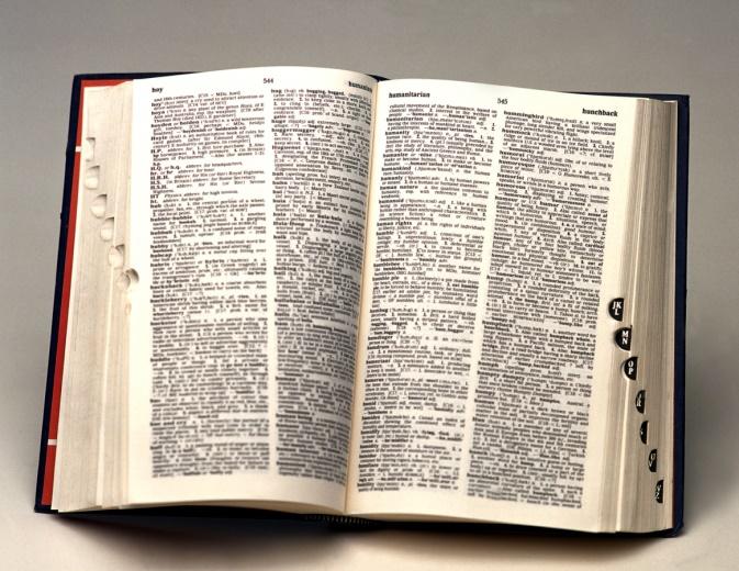 Looking for the Meaning of BBM, Amazeballs, Verbal Diarrhoea, Bridezilla & Lolz? Search No More! You can find them in the Latest Edition of Collins English Dictionary