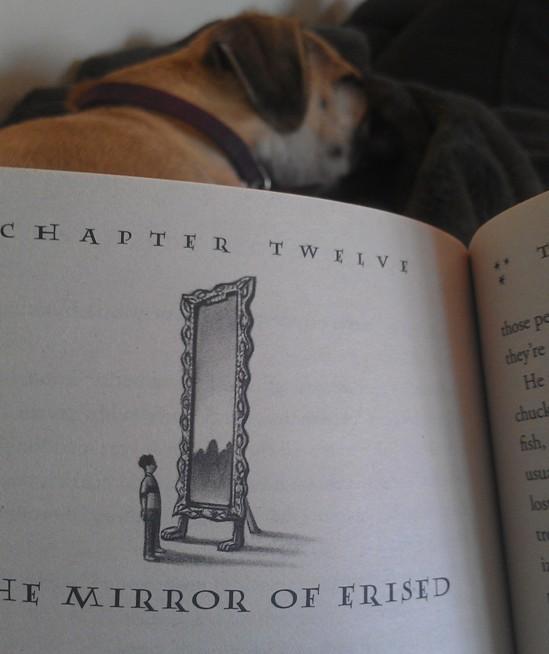 My dog is less than impressed. My dog is less than impressed.