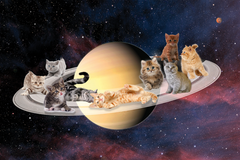 (image credit: Mariah Aro Sharp @mightymooseart)