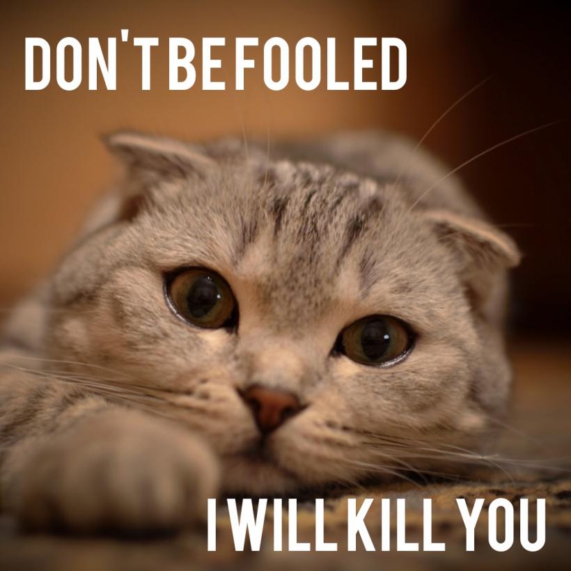 I will kill you. I will kill you.