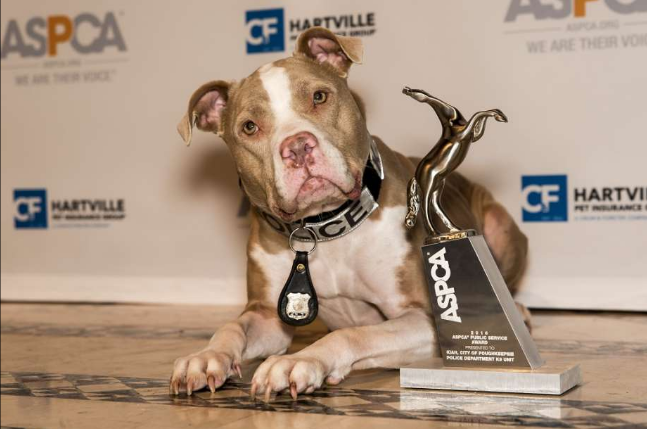 Image Credit: Stacey Axelrod/ASPCA Image Credit: Stacey Axelrod/ASPCA