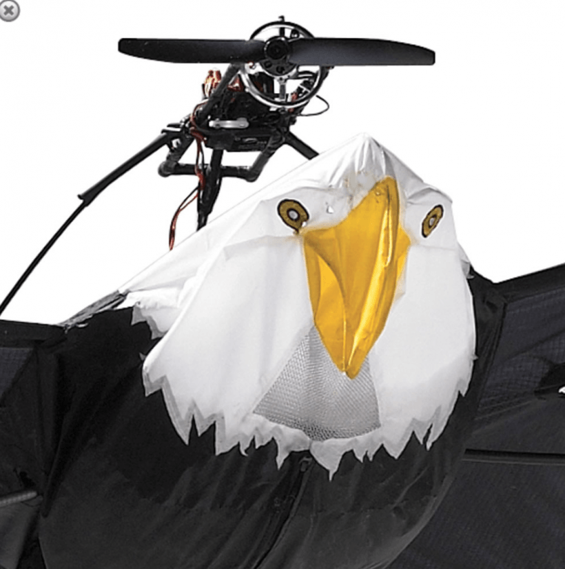 The 9 1/2 Foot Remote Controlled Bald Eagle The 9 1/2 Foot Remote Controlled Bald Eagle