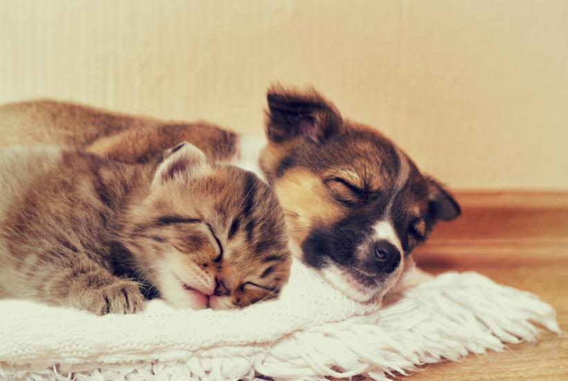 If this doesn't make you feel good, I don't know what will. If this doesn't make you feel good, I don't know what will.