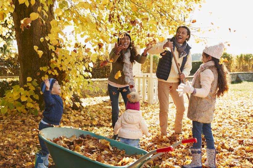 It's fall y'all. It's fall y'all.