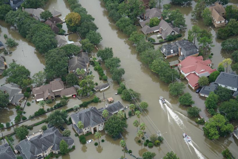 This is a story of surviving natural disasters. This is a story of surviving natural disasters.