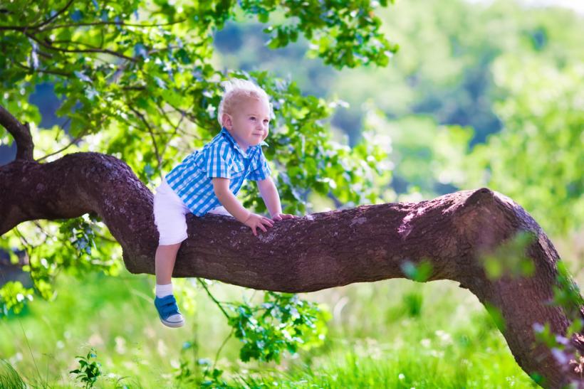 None of us follows any one parenting philosophy to a T; we’re all making split-second decisions about what is and isn’t dangerous. None of us follows any one parenting philosophy to a T; we’re all making split-second decisions about what is and isn’t dangerous.