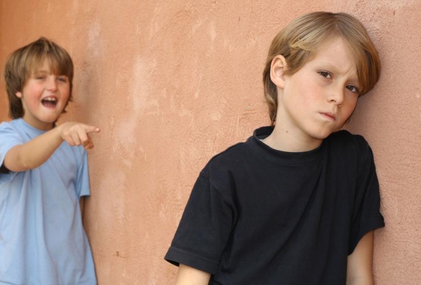 No one ever thinks of themselves as the parent of a bully; no parent wants their child to be a bully to others. No one ever thinks of themselves as the parent of a bully; no parent wants their child to be a bully to others.