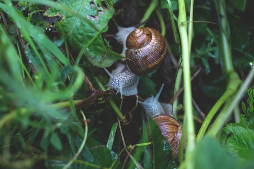 Photo by freestocks.org on Unsplash Photo by freestocks.org on Unsplash