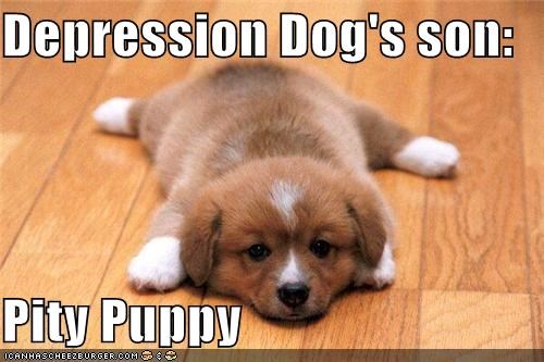 No one likes a pity puppy. Well, maybe a little bit…they’re so cuddly…