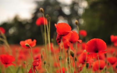 April is the cruelest month.            Courtesy of Thinkstock