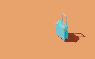 Bad Tourist by Suzanne Roberts